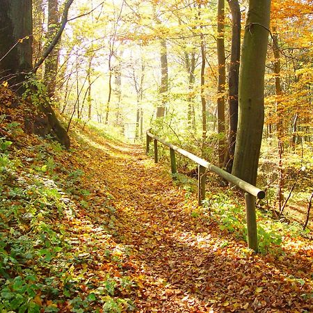 Klostergasthof Roggenburg Bagian luar foto