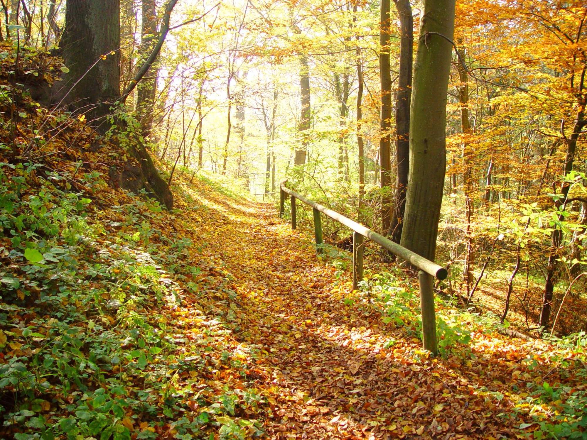 Klostergasthof Roggenburg Bagian luar foto