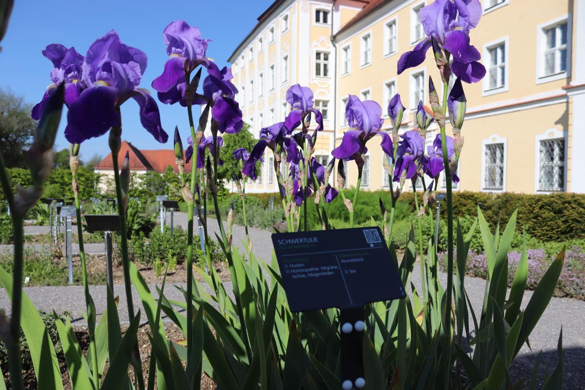 Klostergasthof Roggenburg Bagian luar foto