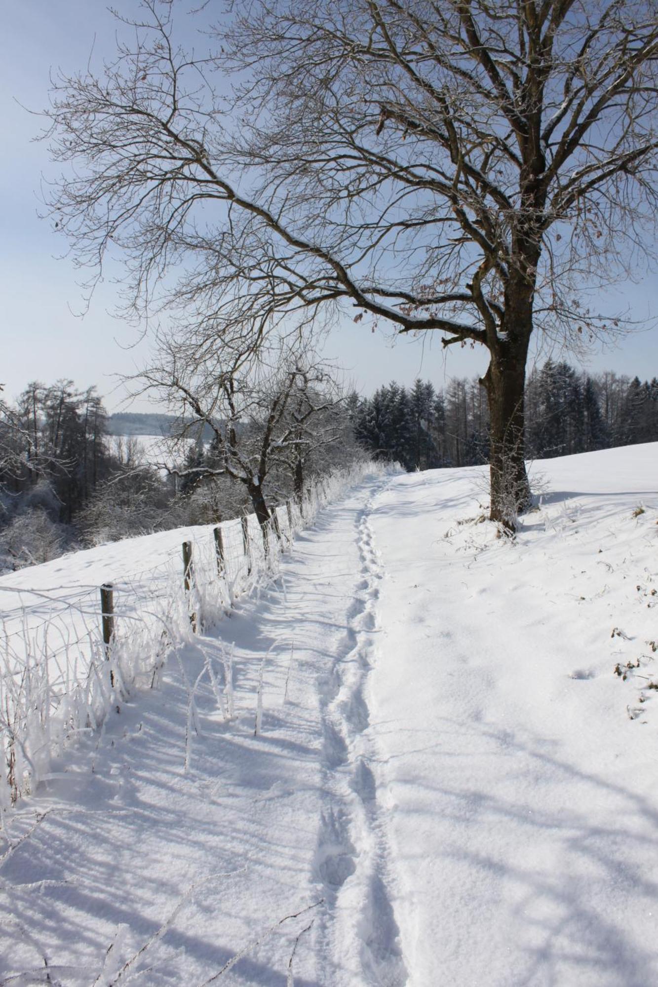 Klostergasthof Roggenburg Bagian luar foto